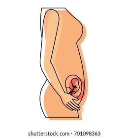 watercolor painted silhouette of side view pregnancy process in female body fetus human growth a few weeks vector illustration