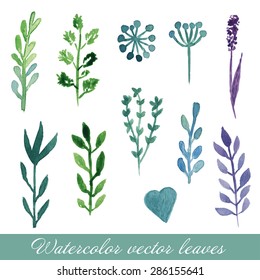 Watercolor painted vector floral set. Flowers, leaves and tree branches in cold blue and green colors.  Cute artistic design for invitation, wedding or greeting cards