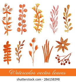 Watercolor painted vector floral set. Flowers, leaves and tree branches in warm yellow and orange colors.  Cute artistic design for invitation, wedding or greeting cards