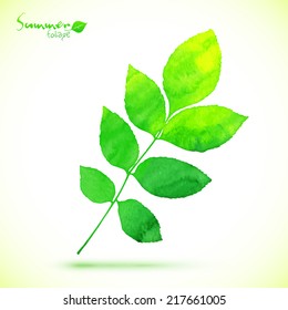 Watercolor painted vector green leaf
