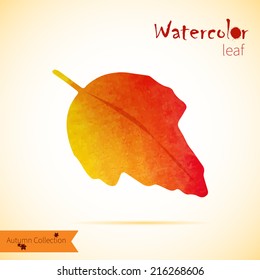 Watercolor painted vector leaf. Orange autumn collection.