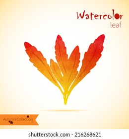 Watercolor painted vector leaf. Orange autumn collection.