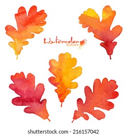 Watercolor Painted Vector Oak Leaves