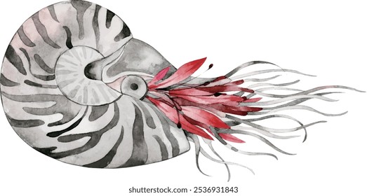 Watercolor painting, black ancient bearded marine shell creatures and red flowers