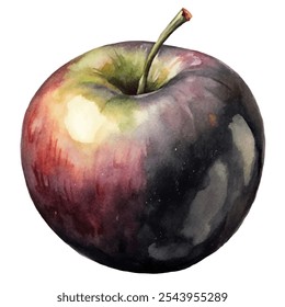 A watercolor painting of a black apple with a green stem. The apple is the main focus of the painting, and it is ripe and ready to be eaten. The painting has a warm and inviting mood