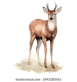 Watercolor painting of deer, isolated on a white background ,deer vector, drawing clipart, Illustration Vector, Graphic Painting, design art, logo