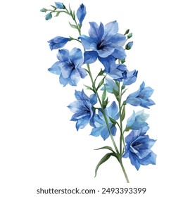 Aquarellmalerei von Delphinium Blüte, isoliert auf einem weißen Hintergrund, Delphinium Vektorgrafik