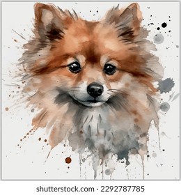 watercolor painting dog spitz deutscher pomeranian white background