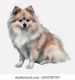 watercolor painting dog spitz deutscher pomeranian white background