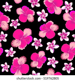 Watercolor painting effect, vector illustration of a hibiscus flower, blossom with multicolored leaves isolated hand drawn on black background. Hibiscus flowers in pink, neutral and magenta colors.