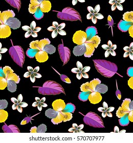 Watercolor painting effect, vector illustration of a hibiscus flower, blossom with multicolored leaves isolated hand drawn on black background. Hibiscus flowers in green and pink colors.