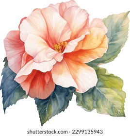 watercolor painting flower illustration design