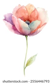 A watercolor painting of a flower with a pink stem and petals. The flower is the main focus of the painting, and it is a delicate and beautiful flower. The painting has a serene and calming mood