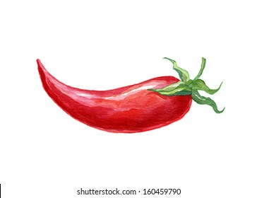 Watercolor Painting Of Hot Pepper Vector