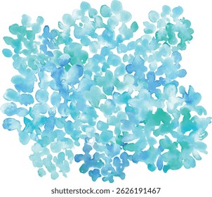 Pintura em aquarela. Ilustração vetorial de Hydrangea com toque de aquarela. Hidrângea estação chuvosa quadro de verão. Fundo desenhado à mão plantas e flores.