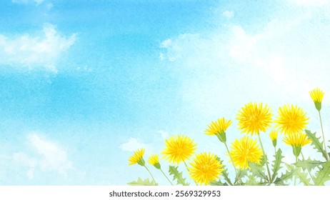Watercolor painting illustration of dandelions in the blue sky