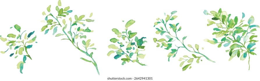 Watercolor painting. Illustration of early summer grass and trees with watercolor touch. Vector illustration of plants and trees. Eco. Forest.