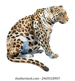 Ilustración de leopardo (jaguar y guepardo), aislado sobre un fondo blanco, Dibujo gráfico, Diseño de ilustración,	