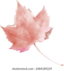 A watercolor painting of a leaf with a pink hue. The leaf is the main focus of the painting, and it is a close-up of the leaf's veins. The painting has a serene and calming mood