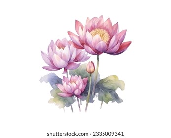 watercolor painting of lotus flowers