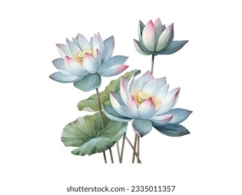 watercolor painting of lotus flowers