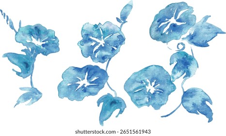 
Watercolor painting. Watercolor morning glory vector illustration frame. Summer morning glory frame material.