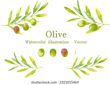 Aquarellmalerei auf Olivenbaum