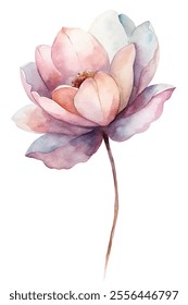 A watercolor painting of a pink flower with a blue stem. The flower is the main focus of the painting and is surrounded by a white background. The painting has a serene and calming mood