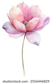 A watercolor painting of a pink flower with a purple stem. The flower is the main focus of the painting and is surrounded by a white background. The painting has a soft and delicate feel to it