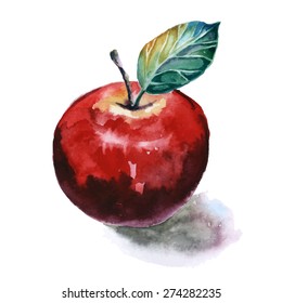 Watercolor painting of red apple on white background
