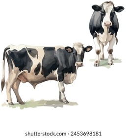 Watercolor painting of set cow (Cattle), isolated on a white background, cow vector, drawing clipart, Illustration Vector, Graphic Painting, design art, logo