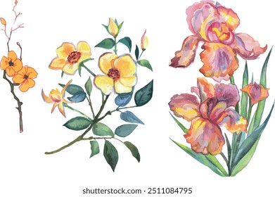 Watercolor painting set of yellow wild flowers branches on white background, vector drawing yellow wild flowers and iris wedding illustration gift card invitation clip art Cute print for girl elegant	