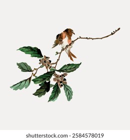 Watercolor painting of a small bird perched on a branch with green leaves. The bird is brown and orange. Delicate and artistic bird illustration. Vintage bird illustration vector.