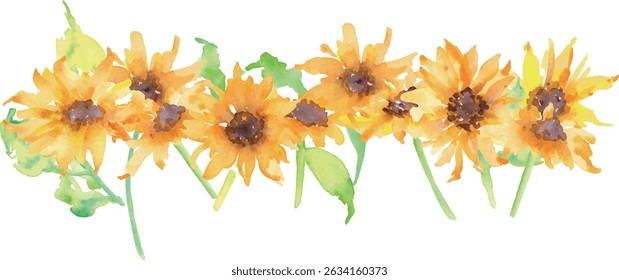 Watercolor painting. Sunflower illustration with watercolor touch. Sunflower vector material. Summer sunflower frame.