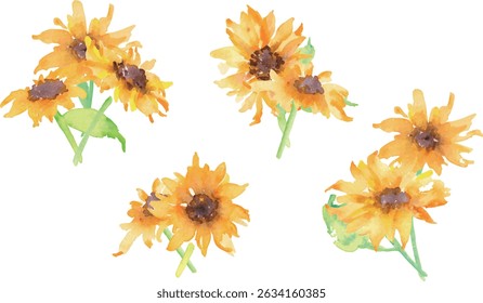 Watercolor painting. Sunflower illustration with watercolor touch. Sunflower vector material. Summer sunflower frame.