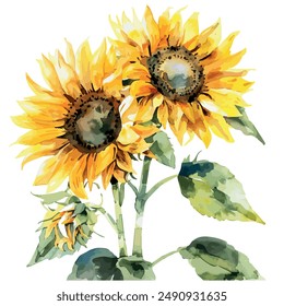 Aquarellmalerei der Sonnenblume, isoliert auf einem weißen Hintergrund, Sonnenblumen-Vektorgrafik, Zeichnen Clipart, Illustration Vektorgrafik, Grafik-Gemälde, Design-Kunst, Logo