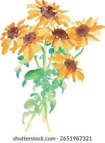 Watercolor painting. Sunflower vector illustration with watercolor touch. Sunflower summer frame background.