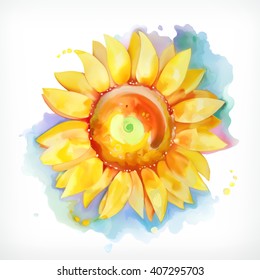 Watercolor painting, sunflower, vector illustration, isolated on a white background