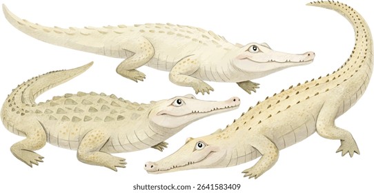 Watercolor painting of three adorable baby alligators in various poses on a white background.