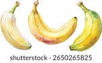Watercolor painting of three bananas, showing variations in ripeness and color.  Perfect for healthy eating or tropical themes.