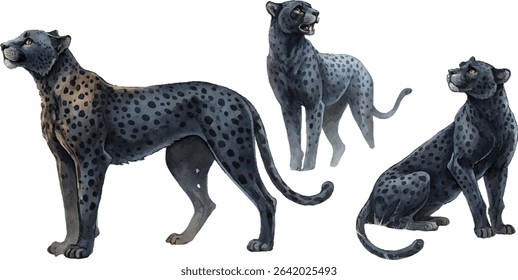 Watercolor painting of three black cheetahs in different poses against a white background.