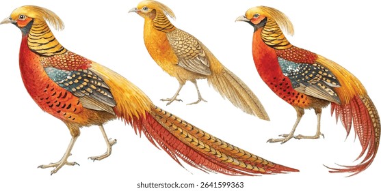 Watercolor painting of three golden pheasants, showcasing their vibrant plumage and intricate details.