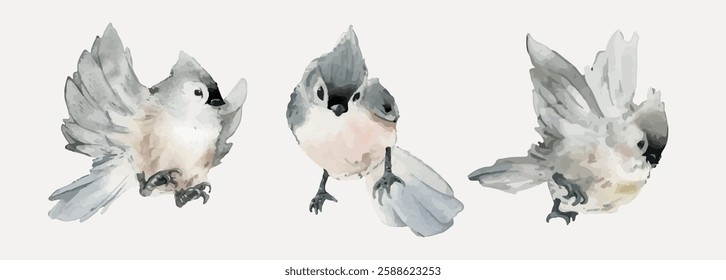 Watercolor painting of three small birds with soft feathers. Birds are depicted in various poses, showcasing delicate feathers and expressive eyes. Animal illustrations, isolated vector set.