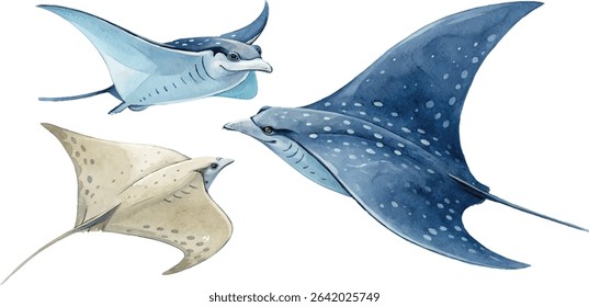 A watercolor painting of three stingrays in different colors and poses. The painting is simple yet elegant, with a focus on the details of the stingrays' bodies.
