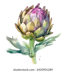 Watercolor painting Vector of an artichoke flower with green leaves, isolated on a white background, Drawing clipart, Illustration and Vector, Graphic,	
