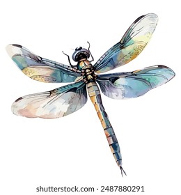 Watercolor painting vector of dragonfly, isolated on a white background, dragonfly vector, drawing clipart, Illustration Vector, Graphic Painting, design art, logo