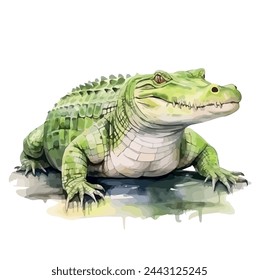 watercolor painting Vector of a green crocodile (alligator) in a pond, isolated on a white background, clipart Drawing, illustration art, graphic design.