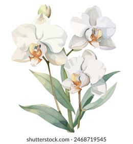 , Watercolor painting vector of orchid, isolated on a white background, orchid vector, drawing clipart, Illustration Vector, Graphic Painting, design art, logo