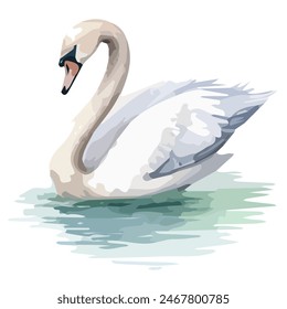 Watercolor painting vector of Swan   , isolated on a white background,  swan    vector, drawing clipart, Illustration Vector, Graphic Painting, design art, logo