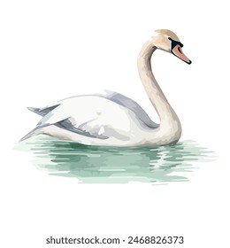 Watercolor painting vector of swan, isolated on a white background, swan vector, drawing clipart, Illustration Vector, Graphic Painting, design art, logo